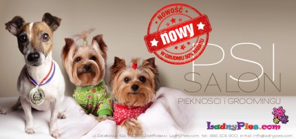 LadnyPies.com - SPA dla PSA - salon piękności dla psów i kotów - ulotka_DL-v20.jpg