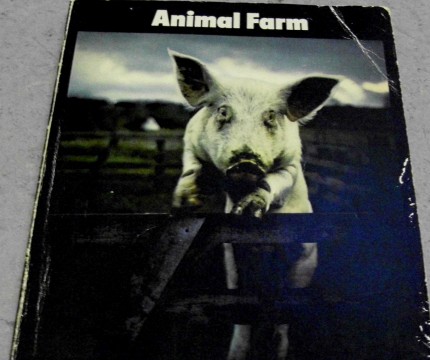 fot. okładka książki "Animal Farm" (Folwark zwierzęcy) Georga Orwell'a